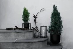 By Lassen Kubus 23 Pflanztopf, Schwarz -Dekorative Kunst 132C1 IMGL9991