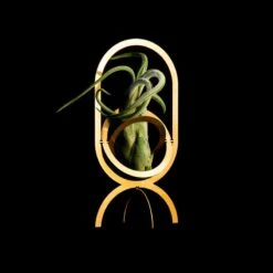 Air Trophy Pflanzenhalter, Messing -Dekorative Kunst AIR TROPHY black