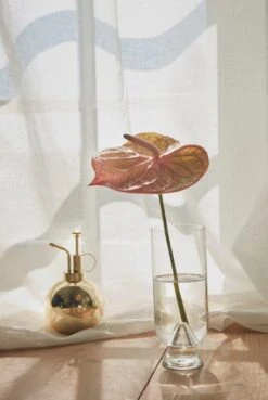 AYTM Globe Blumensprüher, Goldfarben -Dekorative Kunst AYTM D2 08 269