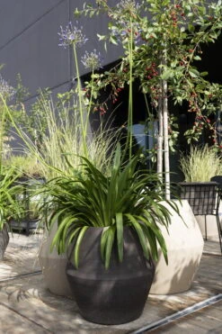 Serax Construct Topf S, Beige -Dekorative Kunst B4920012 sfeer terrace 6