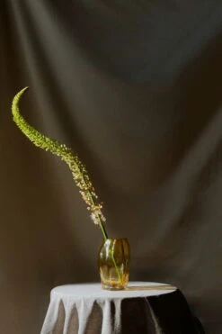 New Works Blæhr Vase, Klein, Bernsteingelb -Dekorative Kunst Blaehr Vase Digital Images Shot by Armin Tehrani 21