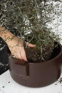 Ceramics Pflanzgefäß, Braun -Dekorative Kunst Ceramics Planter closeup