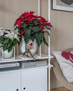 By Lassen Blumentopf Kubus 14, Weiß -Dekorative Kunst Christmas Mood 2