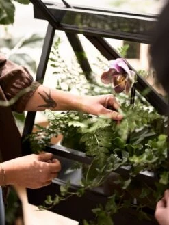 Design House Stockholm Greenhouse, Esche -Dekorative Kunst DHS image7 2642 Greenhouse Lifestyle