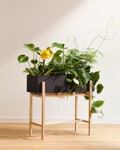 Design House Stockholm Botanic Pflanzenständer -Dekorative Kunst DHS lifestyleimage 22