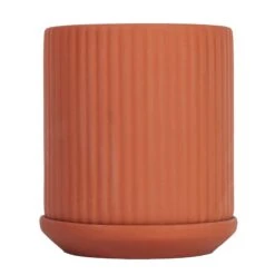 Klorofyll 150 Topf, Terrakotta