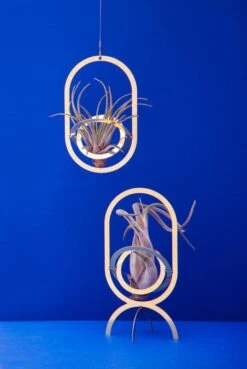 Air Trophy Pflanzenhalter, Messing -Dekorative Kunst FUAIR TRO blue