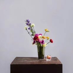 Iittala Schale Aalto 75 Mm, Klar -Dekorative Kunst Iittala 2018 Aalto mossgreen clear