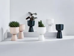 Iittala Nappula Blumentopf, 230 X 155 Mm, Beige -Dekorative Kunst Iittala 2020 Nappula group 01 1