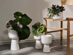 Iittala Nappula Blumentopf, 230 X 155 Mm, Weiß -Dekorative Kunst Iittala 2021 Nappula 05