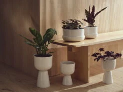 Iittala Nappula Blumentopf, 230 X 155 Mm, Weiß -Dekorative Kunst Iittala 2022 S2 Nappula 07