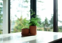 Topf, Mittel, Terrakotta -Dekorative Kunst KLset1 1800