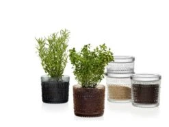 Iittala Kastehelmi Vorratsglas, 116 X 114 Mm, Transparent 13 Iittala Kastehelmi Vorratsglas, 116 X 114 Mm, Transparent -Dekorative Kunst Kastehelmijargreydesertcleargroup 2