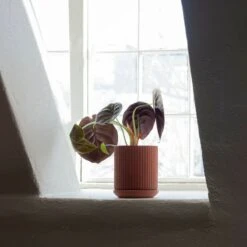 Klorofyll 150 Topf, Terrakotta -Dekorative Kunst Klorofyll150byAnderssenVollforElementa s