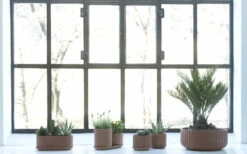 Topf, Mittel, Terrakotta -Dekorative Kunst KlorofyllterracottabyAnderssenVoll