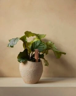 Menu Plantas Blumentopf, 24 cm, Elfenbeinfarben -Dekorative Kunst MENU Plantas Planter Hydrous Watering Stick