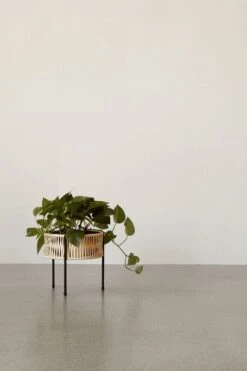 Menu Umanoff Pflanzgefäß, 27 Cm, Schwarz – Rattan 10 Menu Umanoff Pflanzgefäß, 27 Cm, Schwarz – Rattan -Dekorative Kunst MENU Planters 5