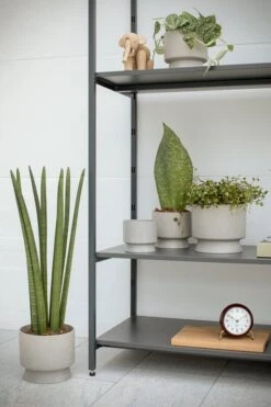 Rosendahl Blumentopf, 19 cm, Sand 9 Rosendahl Blumentopf, 19 cm, Sand -Dekorative Kunst ROS 206 20632 RO Flowerpots in livinroom 01 300dpi