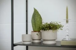 Rosendahl Blumentopf, 12 cm, Sand -Dekorative Kunst ROS 206 20632 RO Flowerpots in livinroom 02 300dpi 1