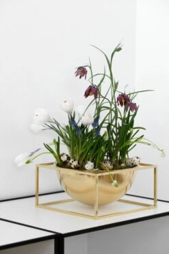 By Lassen Schale Kubus Centrepiece, Groß, Vergoldet -Dekorative Kunst byLassen Kubus Bowl centerpiece easter2019 2 300role